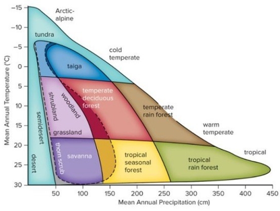 If the mean annual precipitation of a region,currently characterized by grasslands,was to increase by 50 cm.per year,what type of biome(s) would evolve in that region?   A) temperate forests B) savanna C) deserts and tropical rain forests D) taiga and temperate rain forests E) temperate forests and shrublands