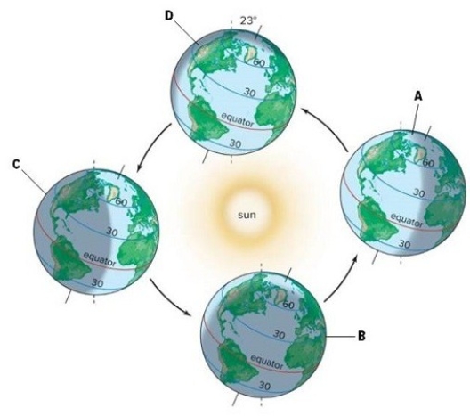 Identify the winter solstice,summer solstice,vernal equinox,and autumnal equinox in the picture.Briefly describe the position of the Earth in relation to the sun and the time of year each event occurs.   A.________ B.________ C.________ D.________