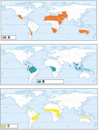 Identify the biomes labeled A,B,and C in the maps.Describe the general locations and climate in each biome.  