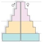 In a population with low death rates,this age structure diagram indicates that   A) the population is decreasing. B) the population is stable. C) the biotic potential must be larger than usual. D) the population will continue to grow for some time.