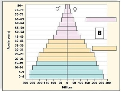 Which of these diagrams represents an age structure diagram of more-developed countries?     A) Diagram A B) Diagram B