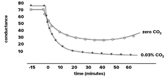 Stomata closure in darkened environment,at time zero,with air (0.03% CO<sub>2</sub>) or CO<sub>2</sub>-free airflow through leaf.(Note: A decrease in conductance indicates inactivation of the proton pump.)    A) Supports both hypothesis I and II. B) Supports only hypothesis I. C) Supports only hypothesis II. D) Supports neither hypothesis.