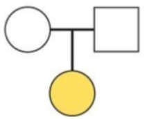 The pedigree chart depicts the inheritance pattern of ________.Circles depict females and squares depict males.Colored shapes represent affected individuals (expressing a trait) and uncolored shapes are unaffected (do not express a trait) .   A) an autosomal recessive characteristic with both parents being heterozygous B) an autosomal dominant characteristic with both parents being homozygous dominant C) an autosomal recessive characteristic with both parents being homozygous recessive D) None.