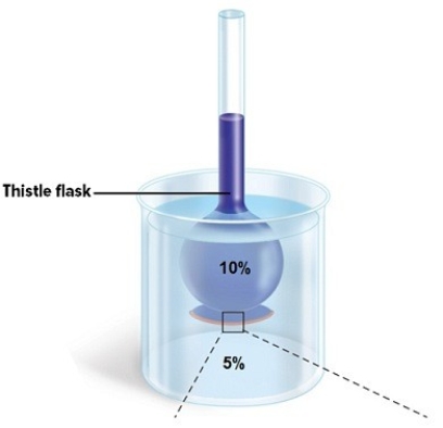 A 10% glucose solution is placed in the thistle tube.The thistle tube is placed in a beaker that contains a 5% glucose solution.The solution in the thistle tube is ________ to the solution in the beaker.   A) hypertonic B) hypotonic C) isotonic D) none of the answer choices