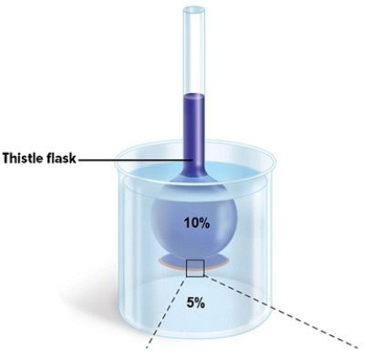 A 10% glucose solution is placed in the thistle tube.The thistle tube is placed in a beaker that contains a 5% glucose solution.There is a differentially permeable membrane across the broad end of the tube,which is permeable to water but not to the sugar glucose.What will occur over time to the water? To the solute?  