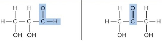 What is the molecular formula of these molecules? How do these molecules differ? Are these the same molecule?  