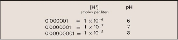 Study the chart to determine the relationship between H<sup>+</sup> concentration and pH.If you were to create a herbal remedy to decrease excess stomach acid,would you create a solution with a relatively greater or lesser number of hydrogen ions?  <div style=padding-top: 35px> 