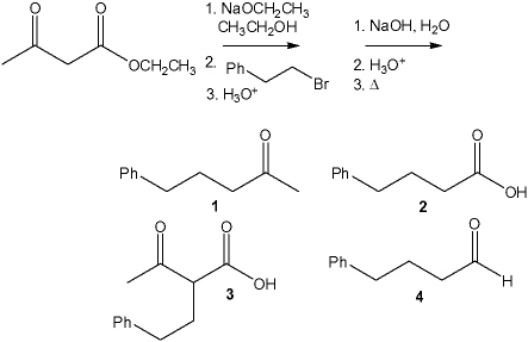 What is the major organic product obtained from the following sequence of reactions?   A)  1 B)  2 C)  3 D)  4