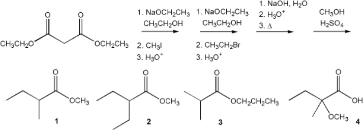 What is the major organic product obtained from the following sequence of reactions?   A)  1 B)  2 C)  3 D)  4