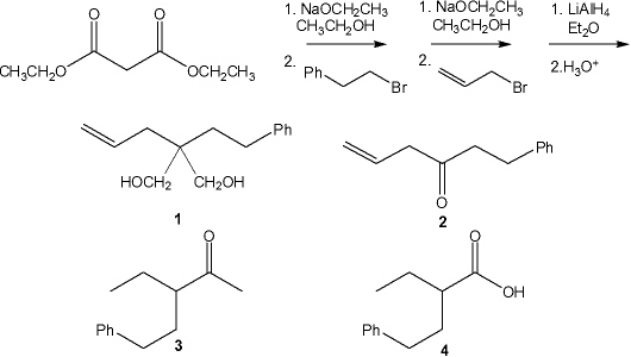 What is the major organic product obtained from the following sequence of reactions?   A)  1 B)  2 C)  3 D)  4