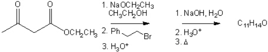 What is the major organic product obtained from the following sequence of reactions?  