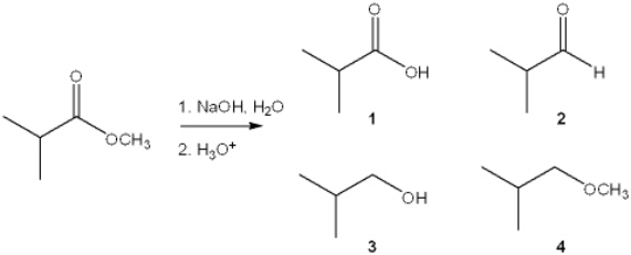 What is the major organic product obtained from the following reaction?   A)  1 B)  2 C)  3 D)  4