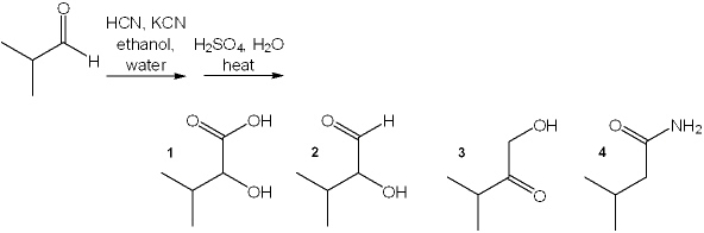 What is the major organic product obtained from the following reaction?   A)  1 B)  2 C)  3 D)  4
