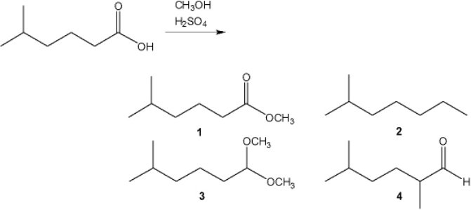 What is the major organic product obtained from the following reaction?   A)  1 B)  2 C)  3 D)  4