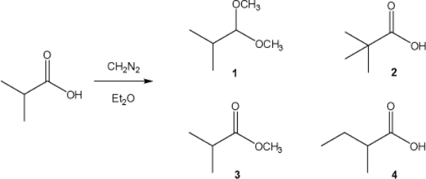 What is the major organic product obtained from the following reaction?   A)  1 B)  2 C)  3 D)  4
