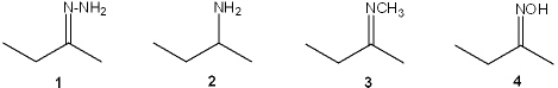 What is the correct assignment of the names of the following functional groups?   A)  1 = imine; 2 = amine; 3 = hydrazone; 4 = oxime B)  1 = hydrazone; 2 = amine; 3 = imine; 4 = oxime C)  1 = oxime; 2 = imine; 3 = amine; 4 = hydrazone D)  1 = imine; 2 = hydrazone; 3 = oxime; 4 = amine