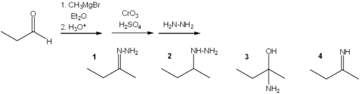 What is the major organic product obtained from the following sequence of reactions?   A)  1 B)  2 C)  3 D)  4