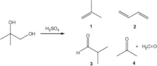 What is the major organic product obtained from the following reaction?   A)  1 B)  2 C)  3 D)  4