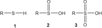 What is the correct assignment of the names of the following functional groups?   A)  1 = thiol; 2 = sulfone; 3 = sulfoxide B)  1 = thiol; 2 = sulfoxide; 3 = sulfone C)  1 = thiol; 2 = sulfinic acid; 3 = sulfonic acid D)  1 = sulfonic acid; 2 = sulfone; 3 = sulfinic acid