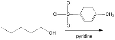 What is the major organic product obtained from the following reaction?   