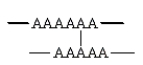 The following arrangement indicates a crosslinked polymer.  