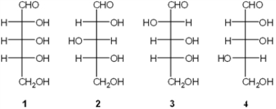 Which of the following is D-ribose?   A)  1 B)  2 C)  3 D)  4