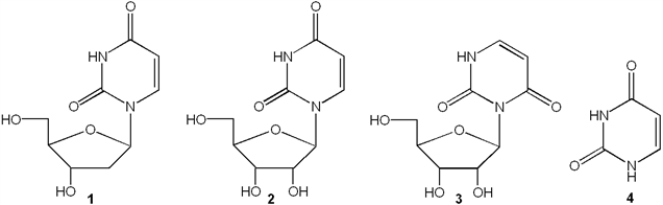 Which of the following is uridine?   A)  1 B)  2 C)  3 D)  4