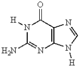 The following structures is a pyrimidine.  