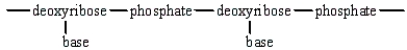 The structural arrangement of DNA is  