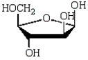 The structure of the sugar in RNA is shown below.  