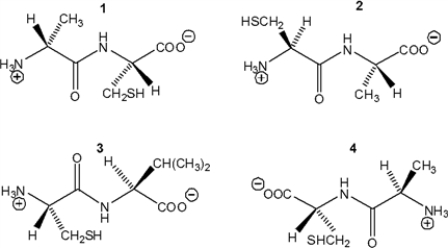 Which of the following dipeptides is L-Cys-L-Ala?   A)  1 B)  2 C)  3 D)  4