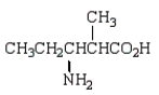 The molecule shown below is an α-amino acid.  