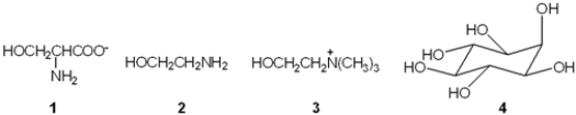 What is the structure of inositol, a component of phospholipids?   A)  1 B)  2 C)  3 D)  4