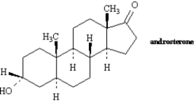 The structure of andosterone is given below.   The following is produced when andosterone is treated with NaBH<sub>4</sub> in ethanol.  