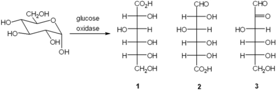 What is the major organic product obtained from the following reaction?   A)  only 1 B)  only 2 C)  only 3 D)  only 1 and 2