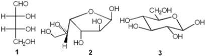 Which of the following represents a furanose?   A)  only 1 B)  only 2 C)  only 3 D)  only 2 and 3