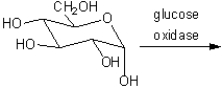 What is the major organic product obtained from the reaction of glucose with glucose oxidase?  