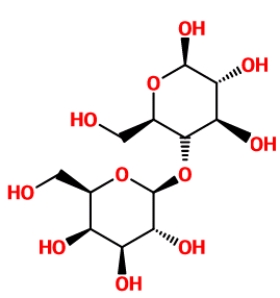 Identify the given compound. ​   A)  β lactose B)  β maltose C)  α sucrose D)  α maltose