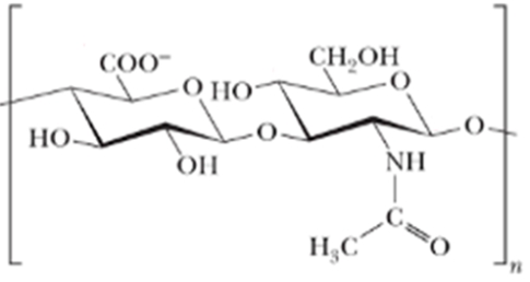 Identify the following compound. ​   A)  Hyaluronic acid B)  Heparin C)  Cellulose D)  Amylopectin
