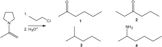 What is the major organic product obtained from the following sequence of reactions?   A)  1 B)  2 C)  3 D)  4