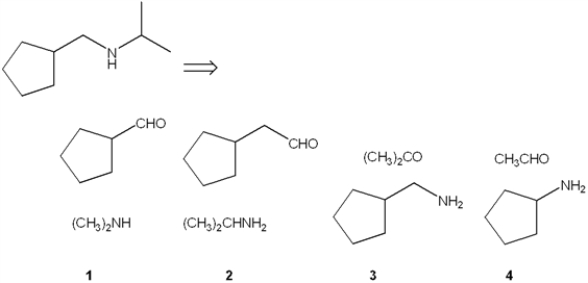 Which combination of carbonyl compound and amine can be used to prepare the following product by reductive amination?   A)  only 1 B)  only 3 C)  only 1 and 3 D)  only 2 and 4