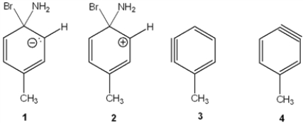 Which of the following is the reactive intermediate in the nucleophilic substitution of 4-bromo-1-toluene with sodium amide?   A)  1 B)  2 C)  3 D)  4