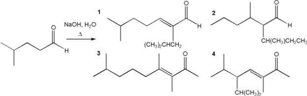 What is the major organic product obtained from the following reaction?   A)  1 B)  2 C)  3 D)  4