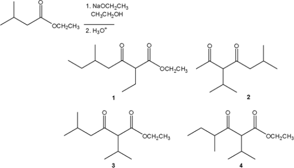 What is the major organic product obtained from the following reaction?   A)  1 B)  2 C)  3 D)  4