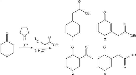 <strong>What is the major organic product obtained from the following sequence of reactions? </strong> A) 1 B) 2 C) 3 D) 4