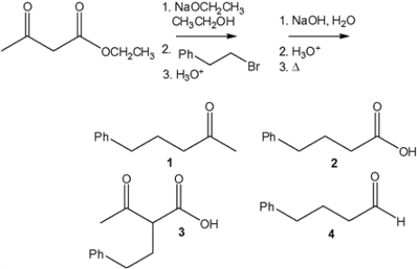 <strong>What is the major organic product obtained from the following sequence of reactions? </strong> A) 1 B) 2 C) 3 D) 4