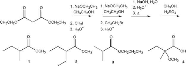 <strong>What is the major organic product obtained from the following sequence of reactions? </strong> A) 1 B) 2 C) 3 D) 4