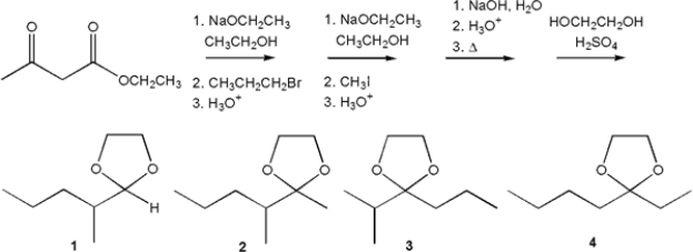 <strong>What is the major organic product obtained from the following sequence of reactions? </strong> A) 1 B) 2 C) 3 D) 4