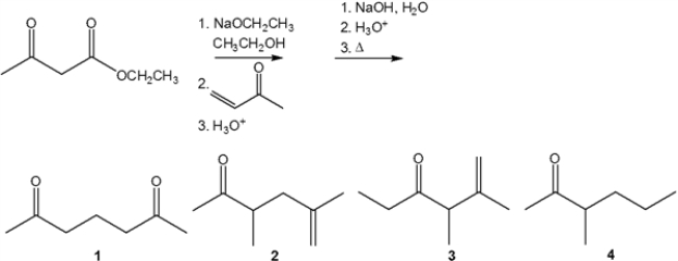 <strong>What is the major organic product obtained from the following sequence of reactions? </strong> A) 1 B) 2 C) 3 D) 4