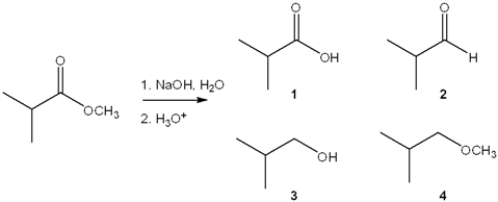 What is the major organic product obtained from the following reaction?   A)  1 B)  2 C)  3 D)  4